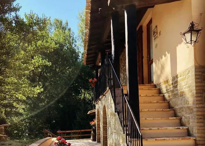 Le Querce Di * Assisi